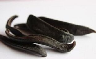 Dried leeches for making ointments