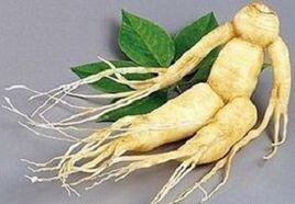 Ginseng root for preparing infusions